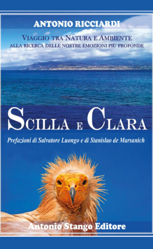 Scilla e Clara – di Antonio Ricciardi